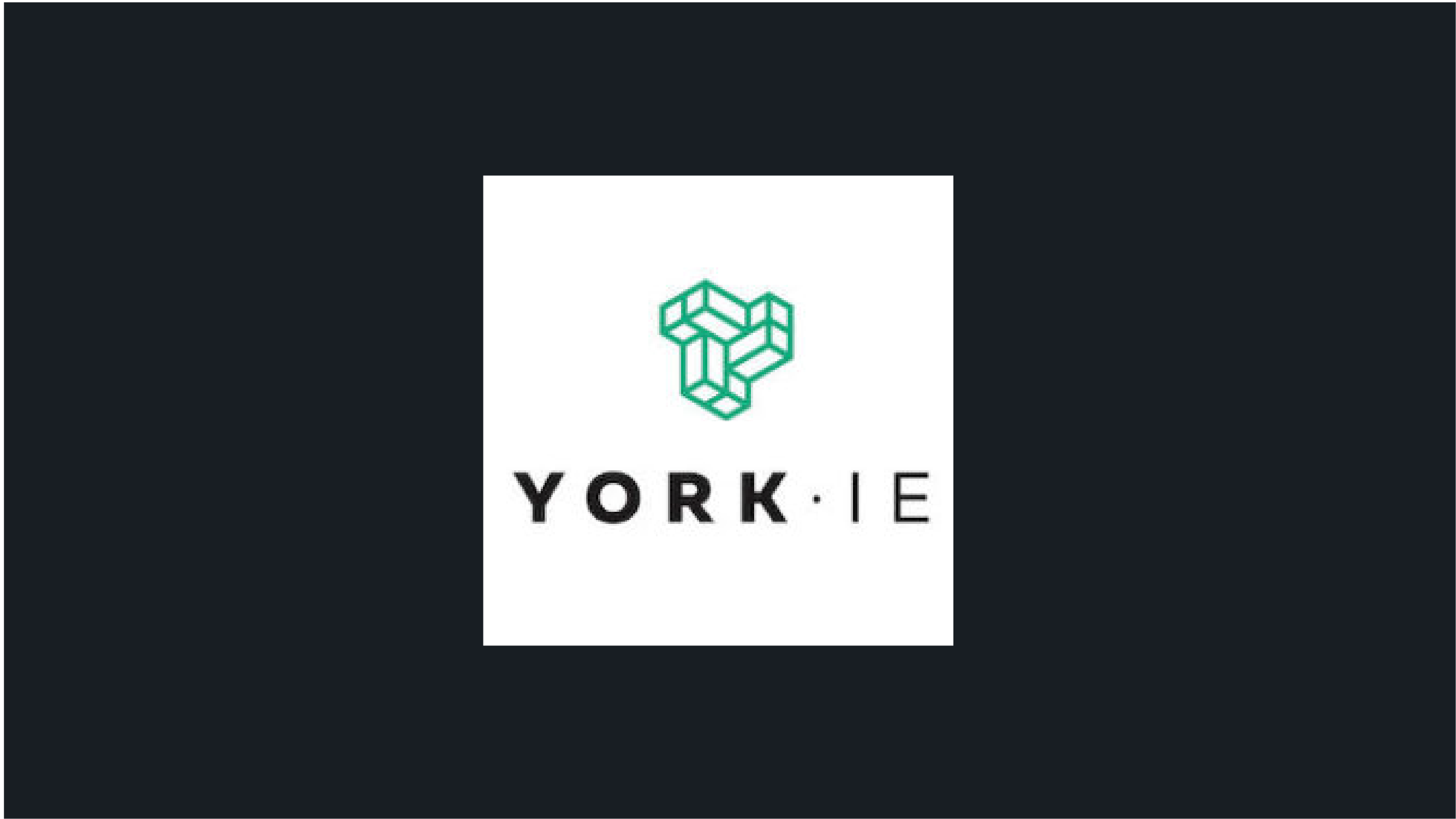 York IE, Investor
