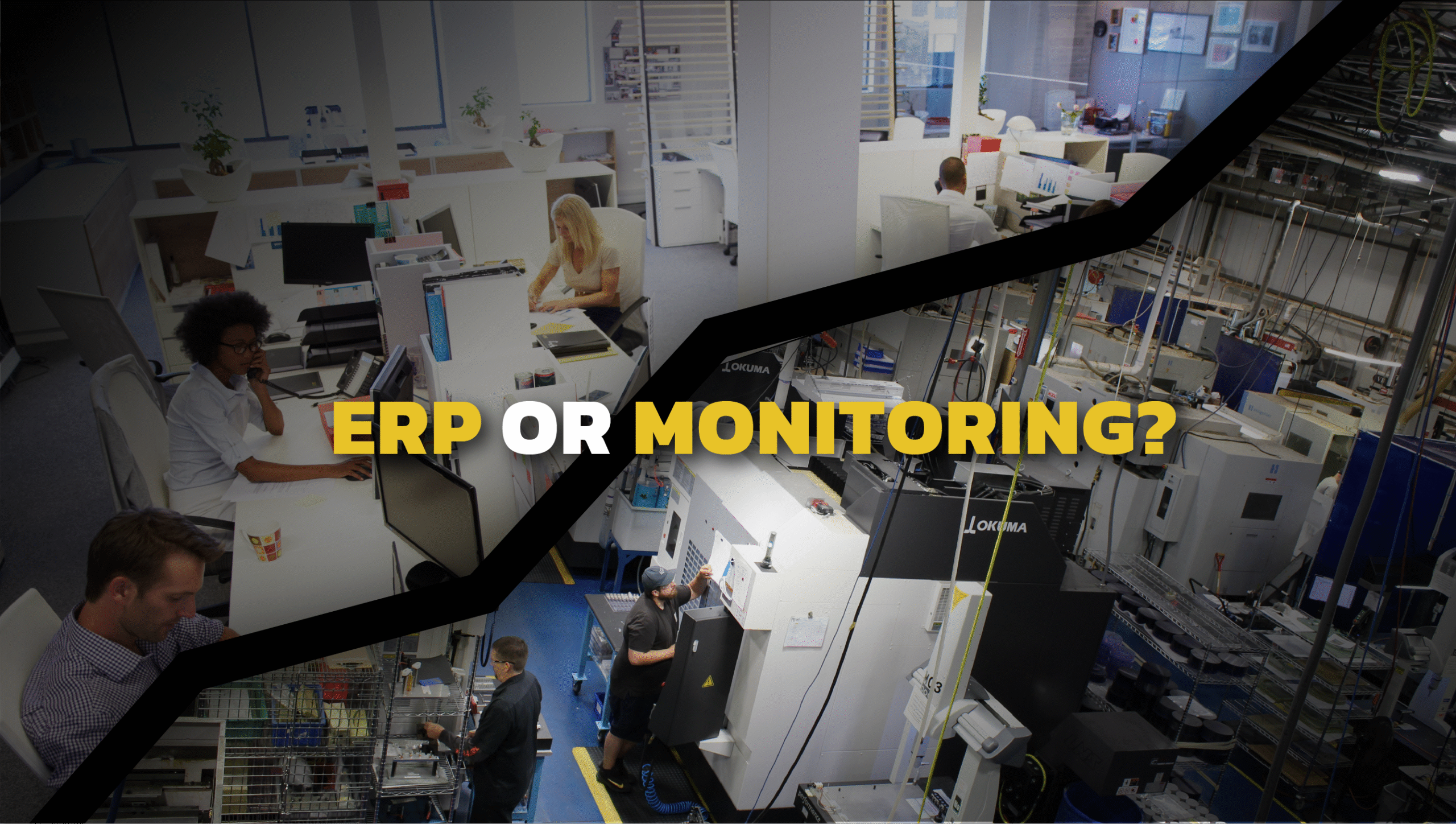ERP or Monitoring